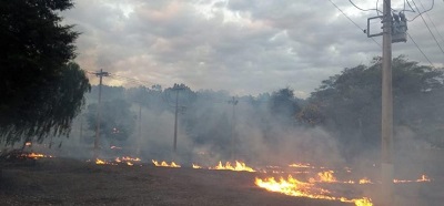 Queimadas no campo causam prejuízos e danos à rede elétrica